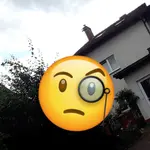 tfoya_ma