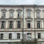 zelek