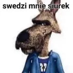 ernesttoja