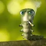 95hvbert