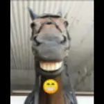 zzziutek