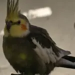 UrbexRzgow