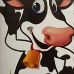Kwadrat
