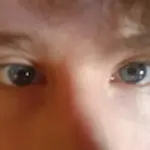 ANT