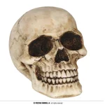 Rozłupywacz_czaszek