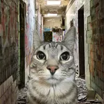 Ruinowyy