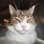 Frackpurr0