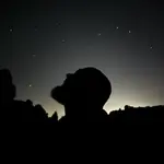 Tiger_LDZ