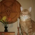 MihaśRoskurwiator666