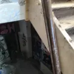 xyzDawid1