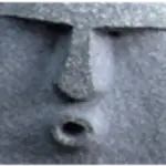 bart
