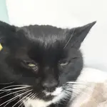 Lampiorz
