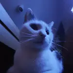 Frackpurr