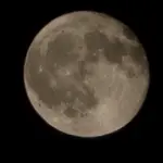 krtrtx2