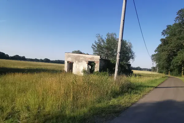 Ubojnia świn