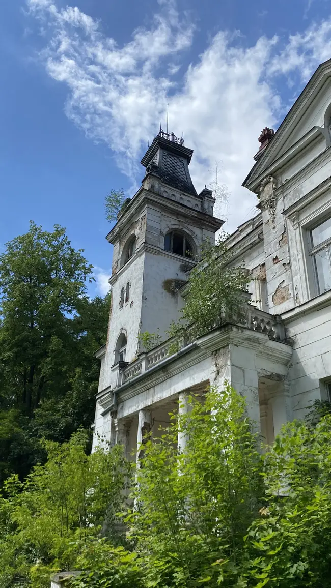 Pałac w Woli Boglewskich - photo 2/7