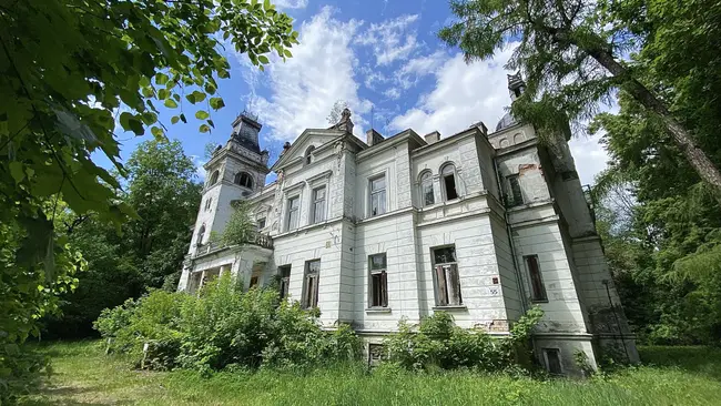 Pałac w Woli Boglewskich - photo 1/7