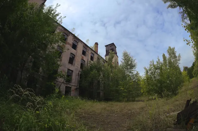 Moje industrialne GOATy - photo 4/13