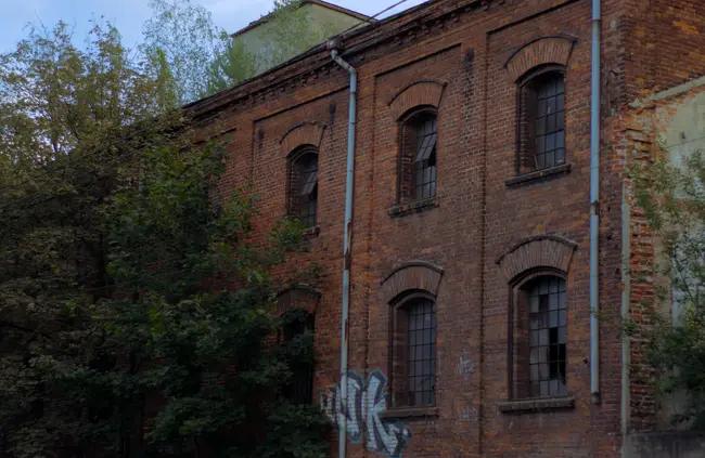 Moje industrialne GOATy - photo 8/13