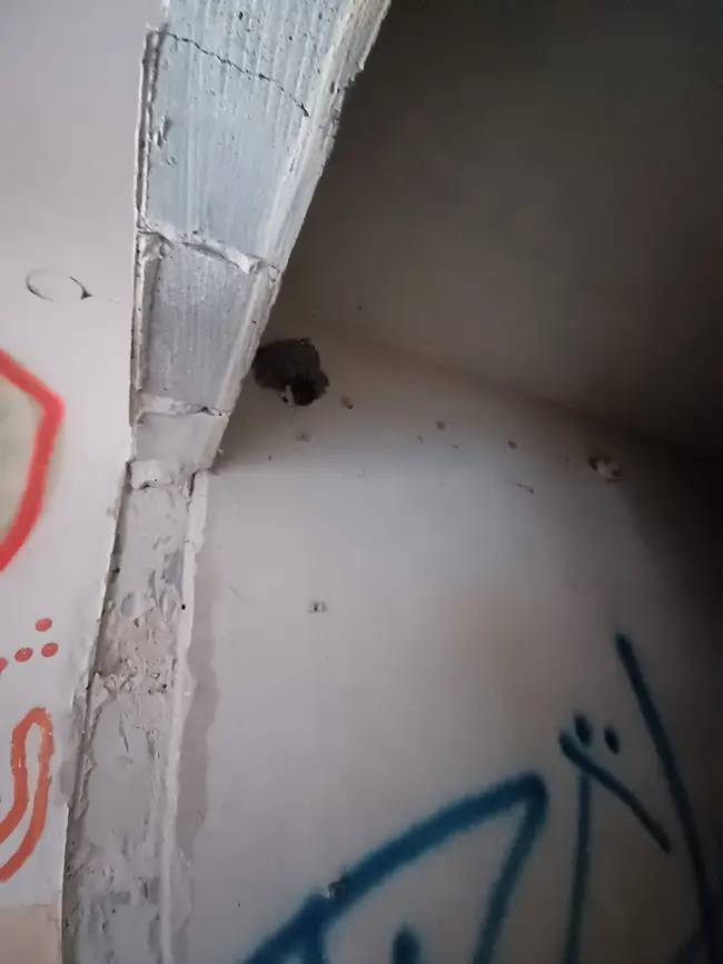Najlepsze zdjecia i najsmieszniejsze - zdjęcie 6/6
