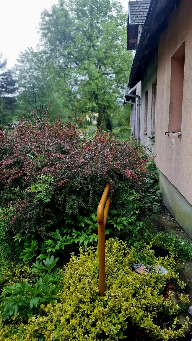 Mroczny dworek - zdjęcie 27/27