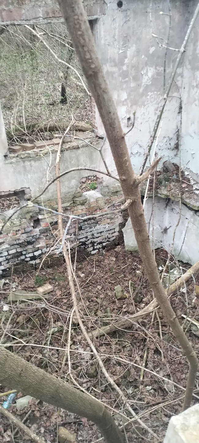 Lone Wolf Urbex - zdjęcie 2/19