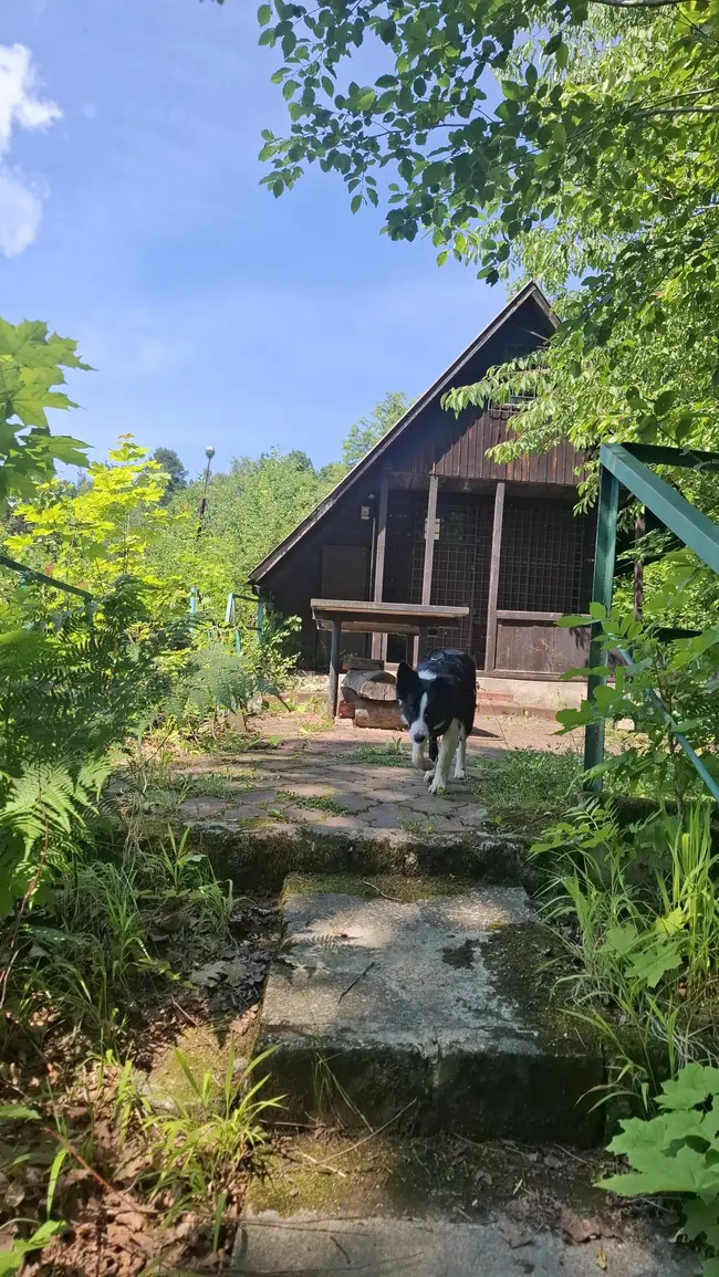 CPN  i takie tam nad jeziorem - zdjęcie 45/52