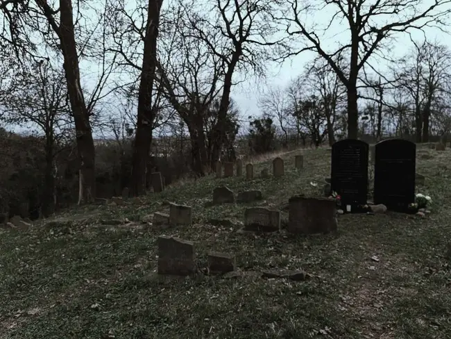 stary cmentarz żydowski - zdjęcie 3/3