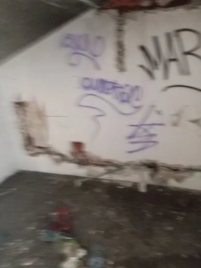 Lone Wolf Urbex - photo 25/89