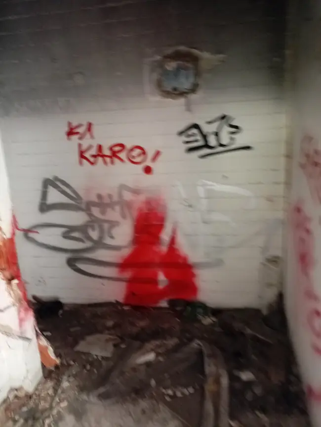 Lone Wolf Urbex - photo 26/89