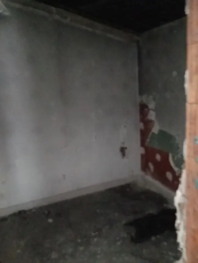 Lone Wolf Urbex - photo 29/89