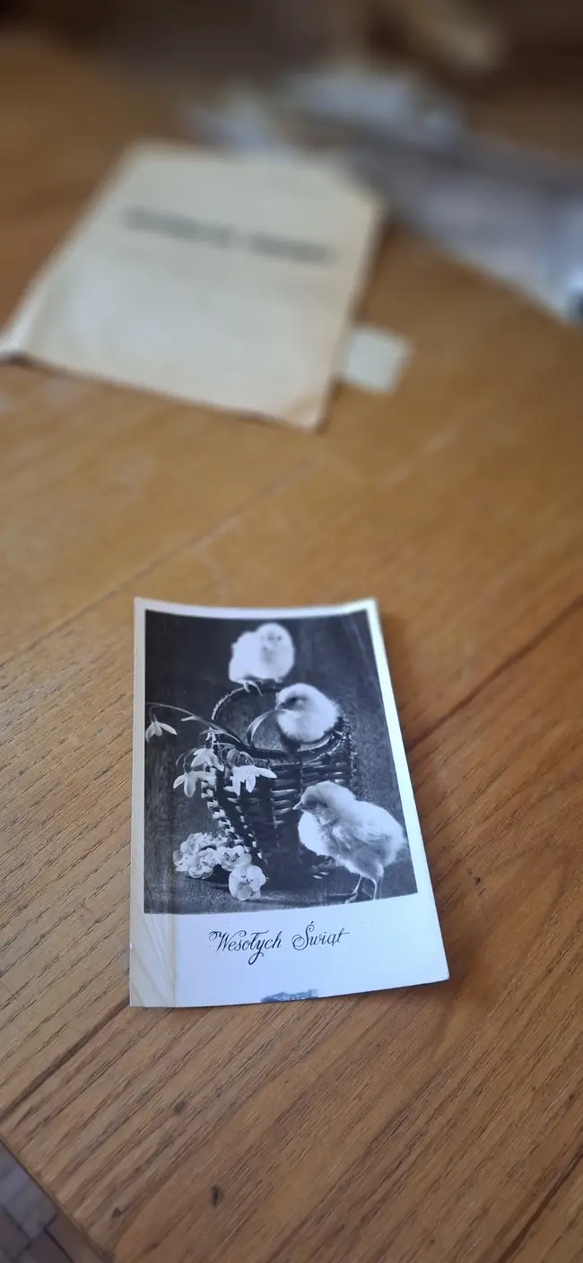 Opuszczony domek w zaroślach - photo 27/71