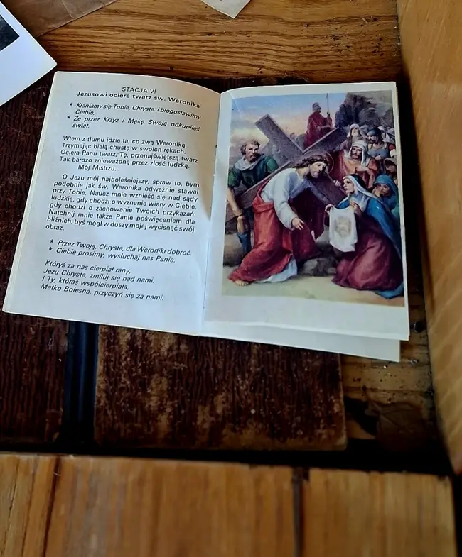 Opuszczony domek w zaroślach - photo 30/71