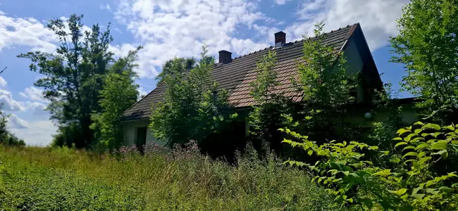 Opuszczony domek w zaroślach - photo 21/71