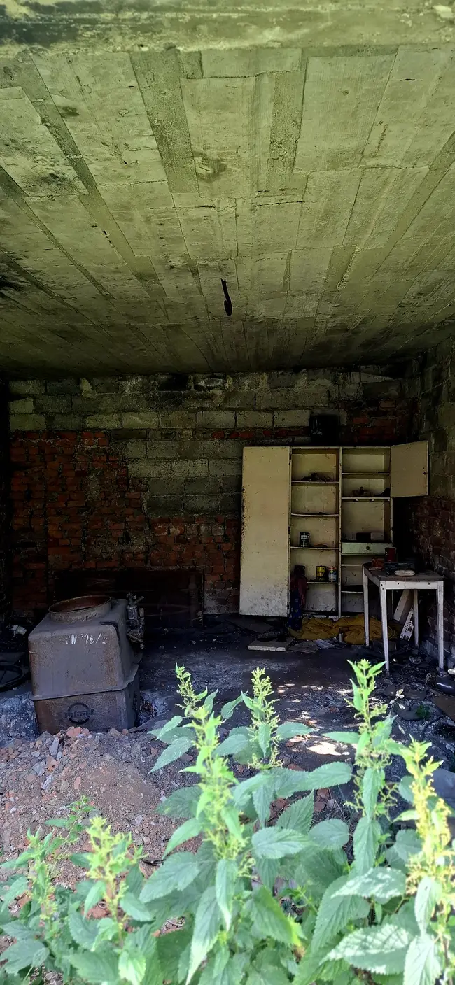 Opuszczony domek w zaroślach - photo 60/71