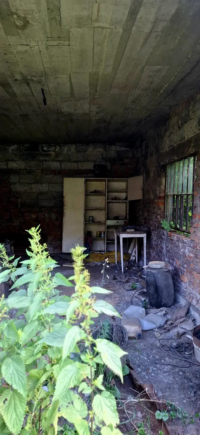 Opuszczony domek w zaroślach - photo 66/71