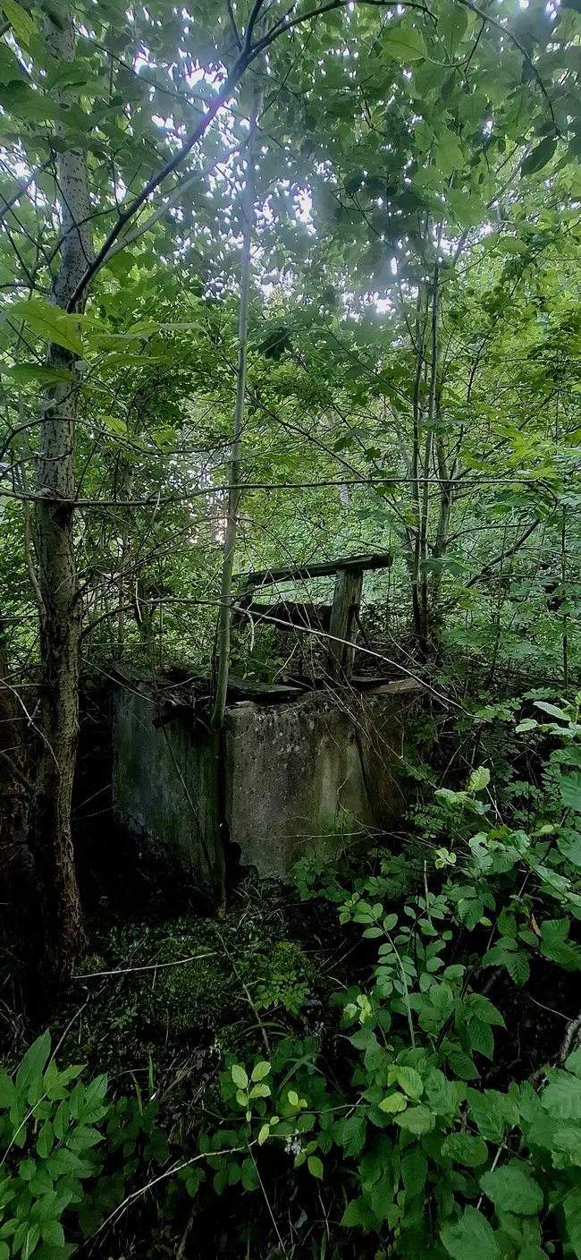 Karczma kiedyś dzis ruina - photo 53/53