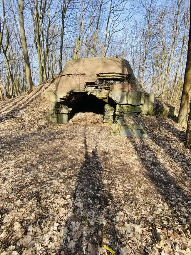 Ruiny fortów poznań - photo 10/14