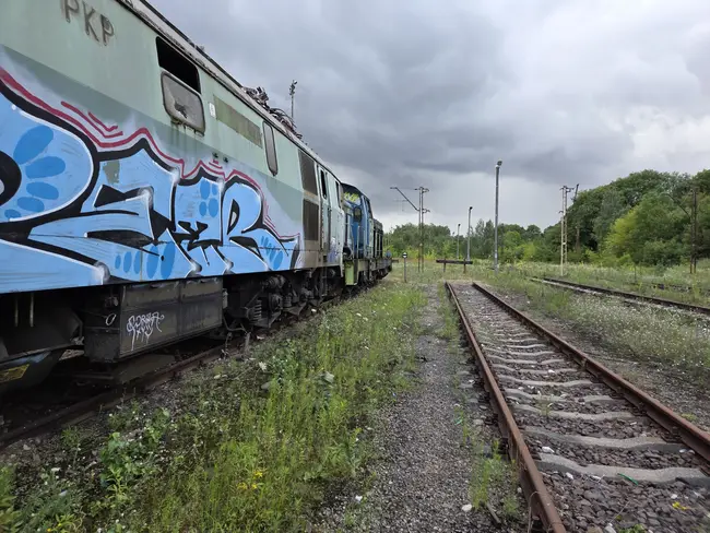 Cmentarzysko Ciuchci w Łodzi - photo 13/40