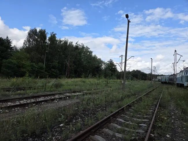 Cmentarzysko Ciuchci w Łodzi - photo 26/40