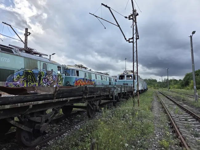 Cmentarzysko Ciuchci w Łodzi - photo 27/40