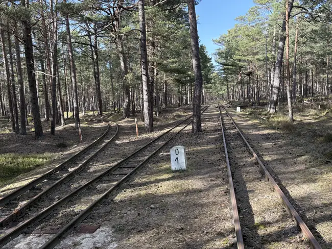 Urbexy Półwysep Helski 2026 - photo 67/82