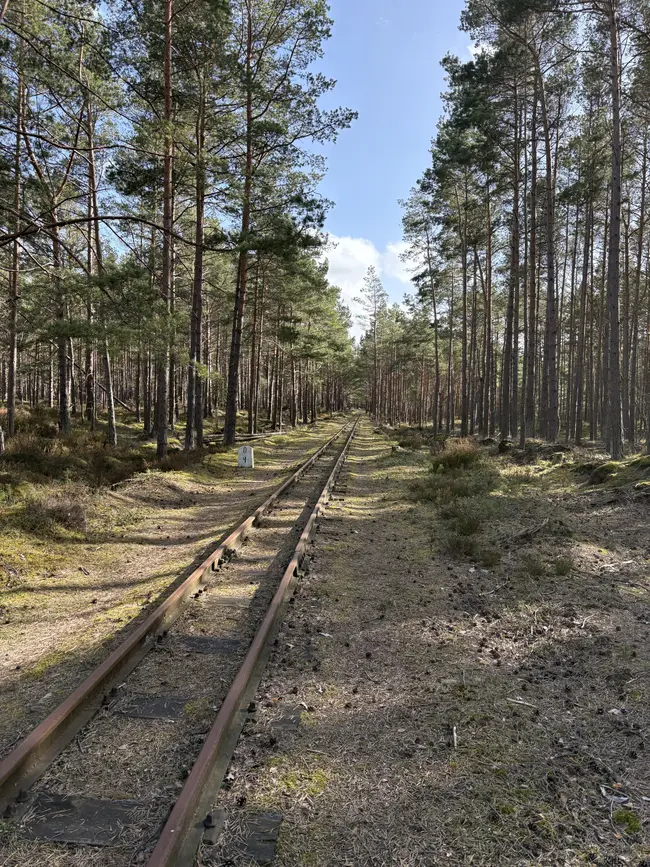 Urbexy Półwysep Helski 2026 - photo 68/82