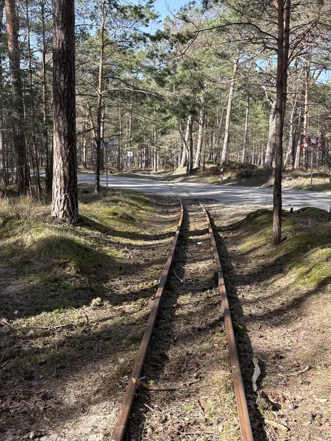 Urbexy Półwysep Helski 2026 - photo 69/82