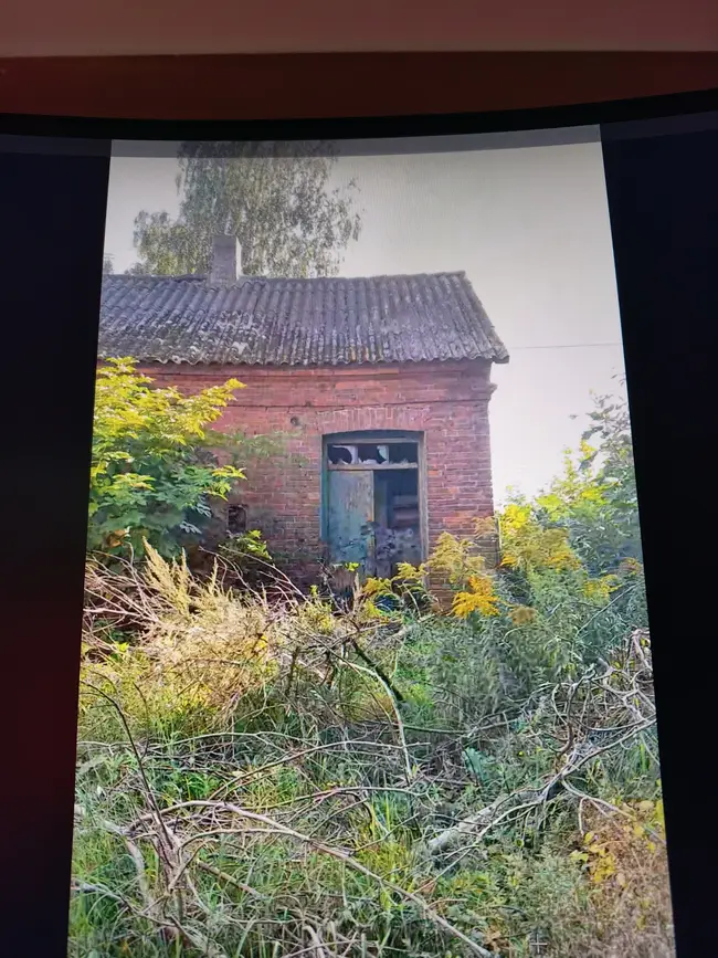 Znika na moich oczach... - photo 3/10