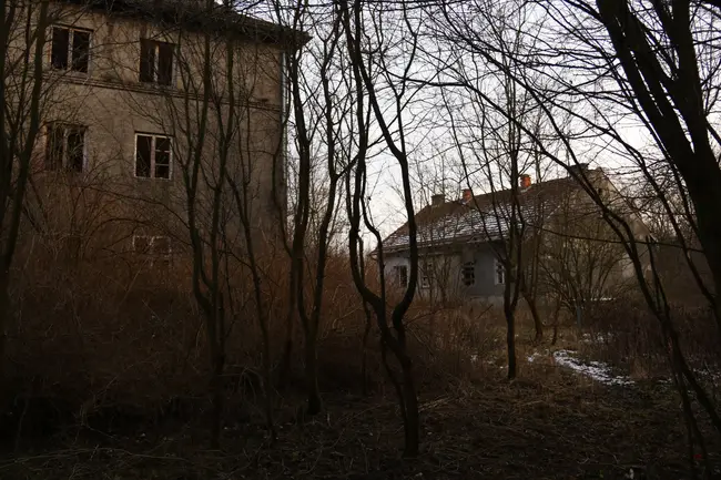 Tytoniarnia - zdjęcie 20/20