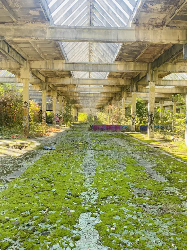 Industrialne - photo 17/29