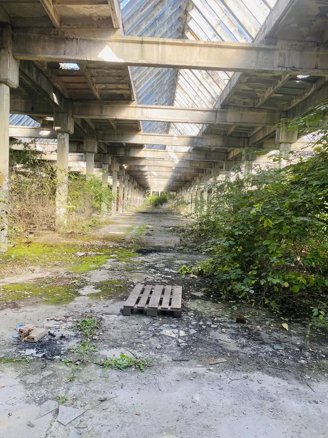 Industrialne - photo 22/29