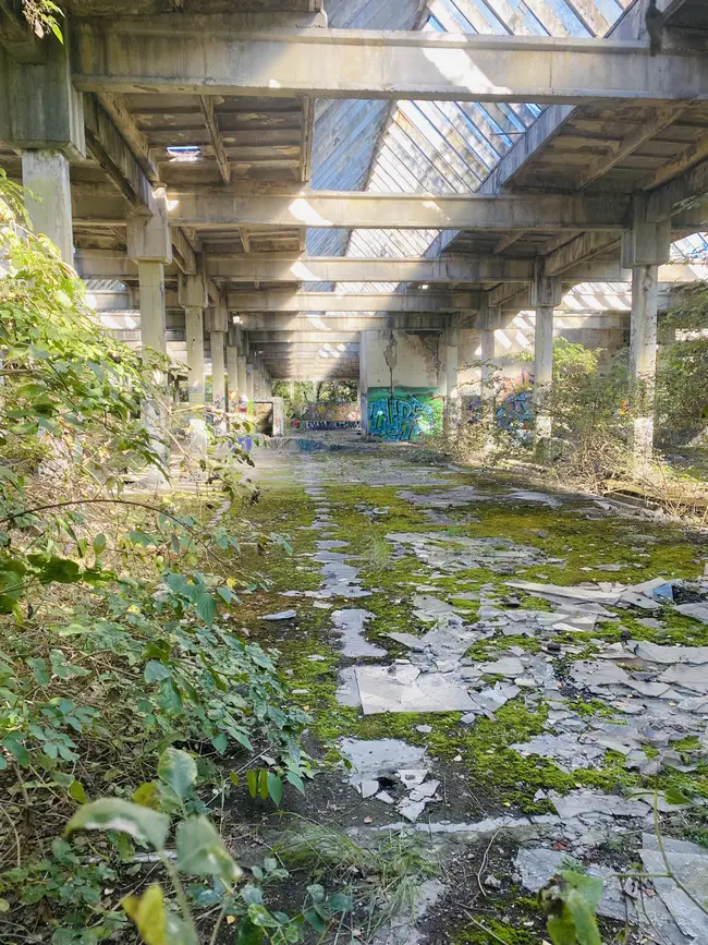 Industrialne - photo 24/29