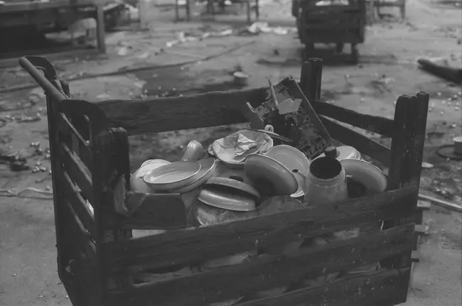 Fotki analogiem - photo 2/7